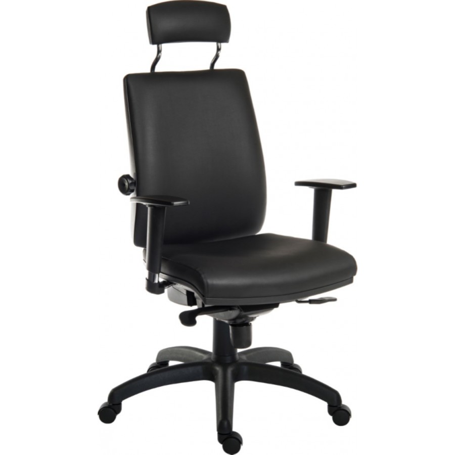 Ergo Plus PU Leather Posture Office Chair